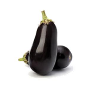 BRINJAL (NATIONAL)