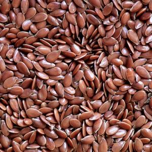 FLAX SEEDS 100G