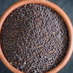MUSTARD 100 G